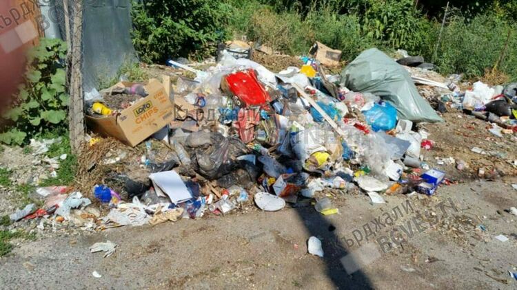 Опълченско тъне в камари от собствените си боклуци, превърна се в клоаката на общината