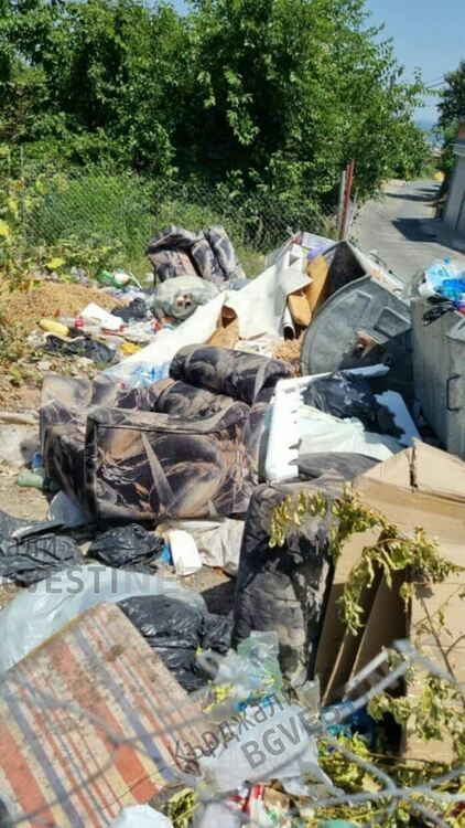 Опълченско тъне в камари от собствените си боклуци, превърна се в клоаката на общината