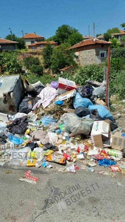 Опълченско тъне в камари от собствените си боклуци, превърна се в клоаката на общината