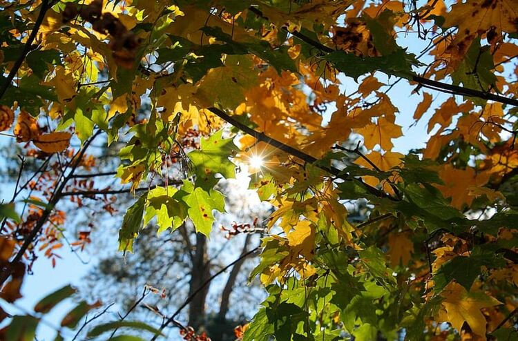 Променлива облачност днес, температурите –до 23 градуса