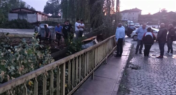 Силен вятър събори дървета и отнесе покриви в Тополовградско
