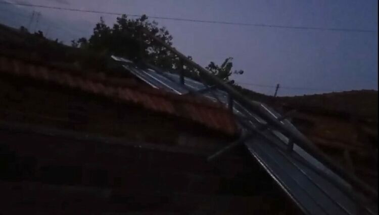 Силен вятър събори дървета и отнесе покриви в Тополовградско