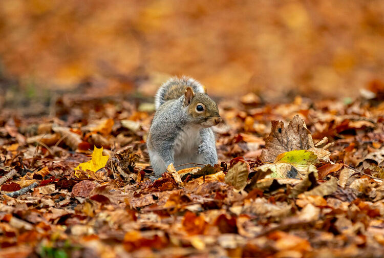 Облачно, нахлува хладен въздух