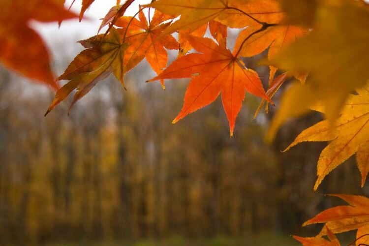 Хладно и облачно