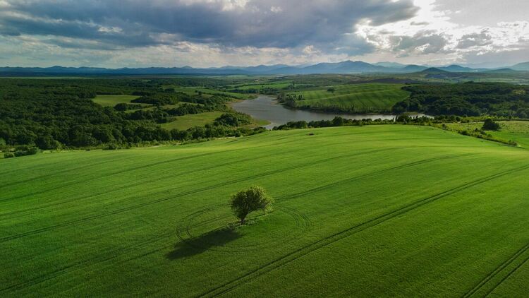Даниел Чендов, "Самота преди бурята"