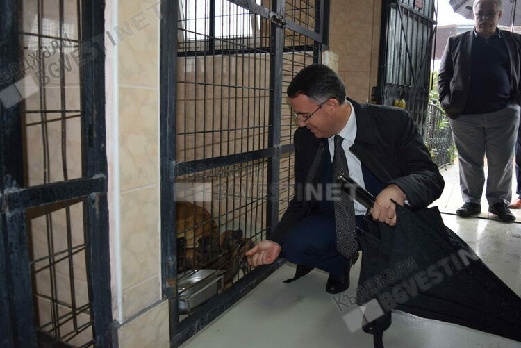 Кметът на Кърджали се срещна с премиера за терена за приют за животни