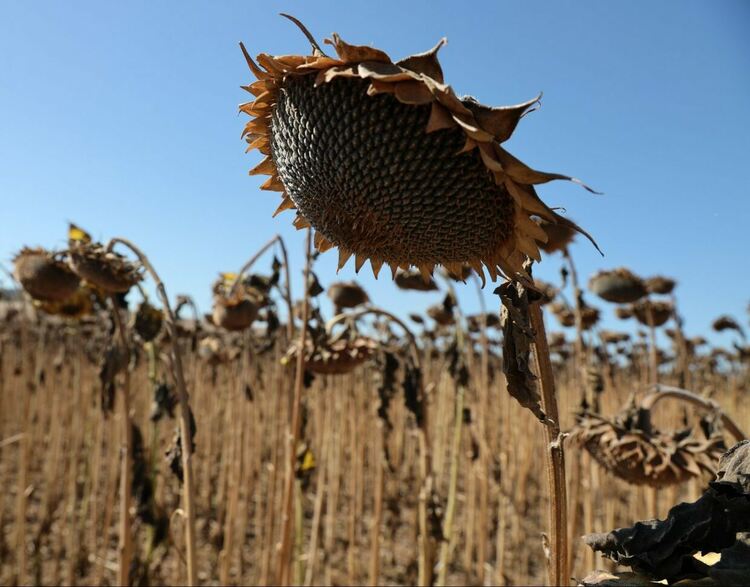 Престъпна група за фалшиви ТЕЛК с участието на председатели на комисии и лекари