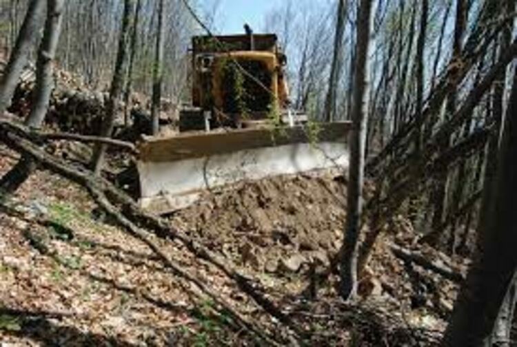 Укрепиха горските пътища в района на горско стопанство Смолян