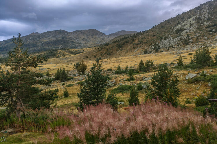 сн: Нина Серафимова