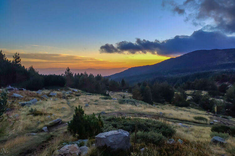 снимка : Нина Серафимова