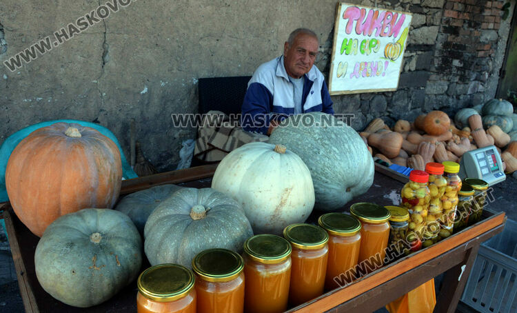 Тиквен урожай в Горски извор