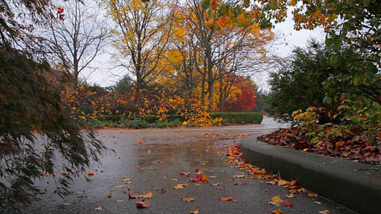 Захлаждане с валежи на места