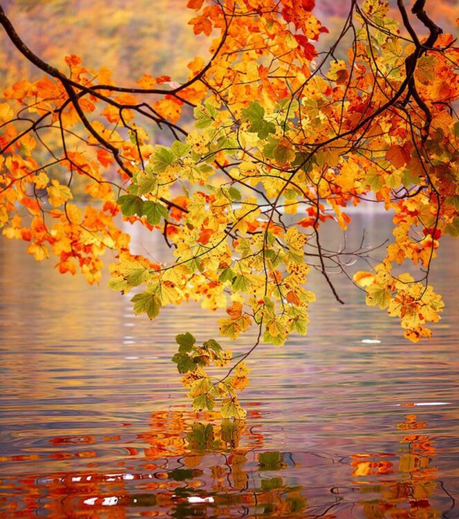 По-хладно днес с повече облаци