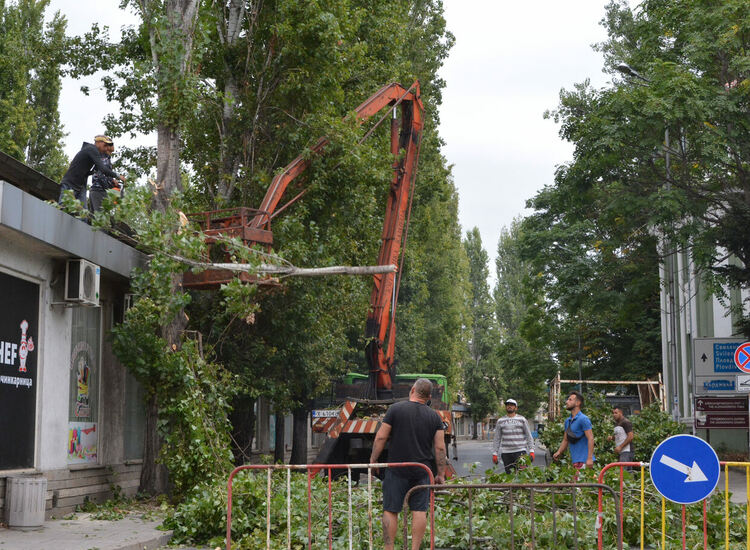 Задръствания в центъра на Хасково заради затворения булевард за сечта на тополи