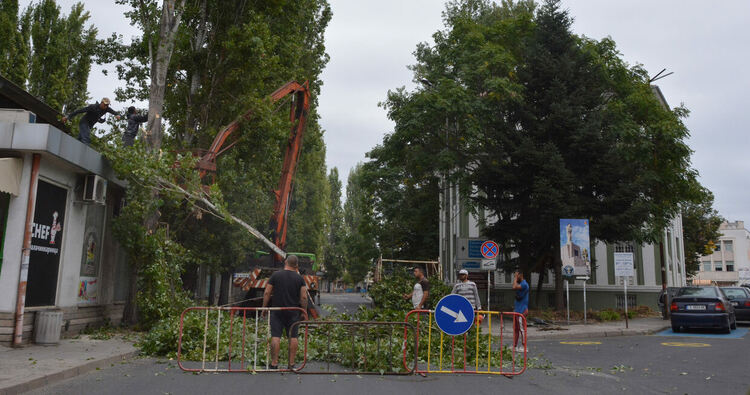 Задръствания в центъра на Хасково заради затворения булевард за сечта на тополи