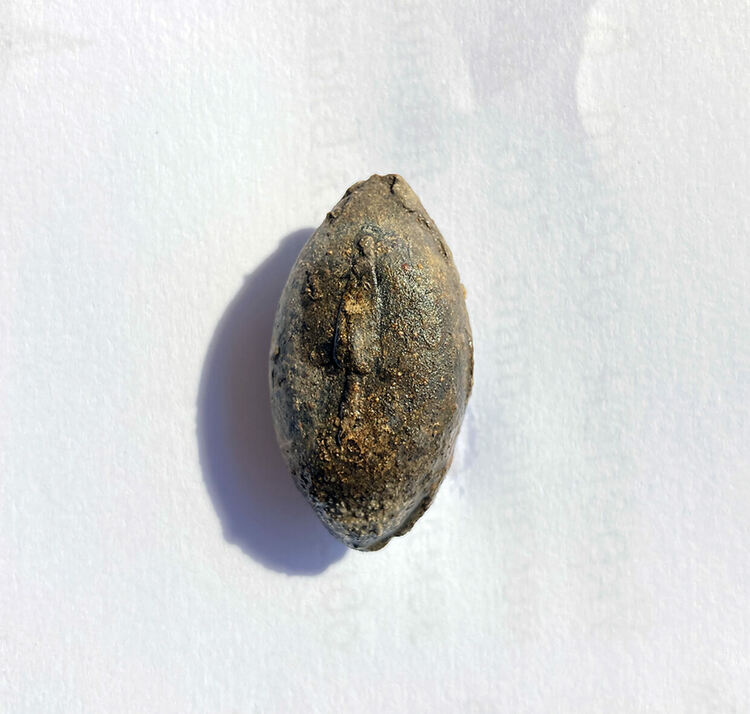 Ядро за прашка - връх за копие