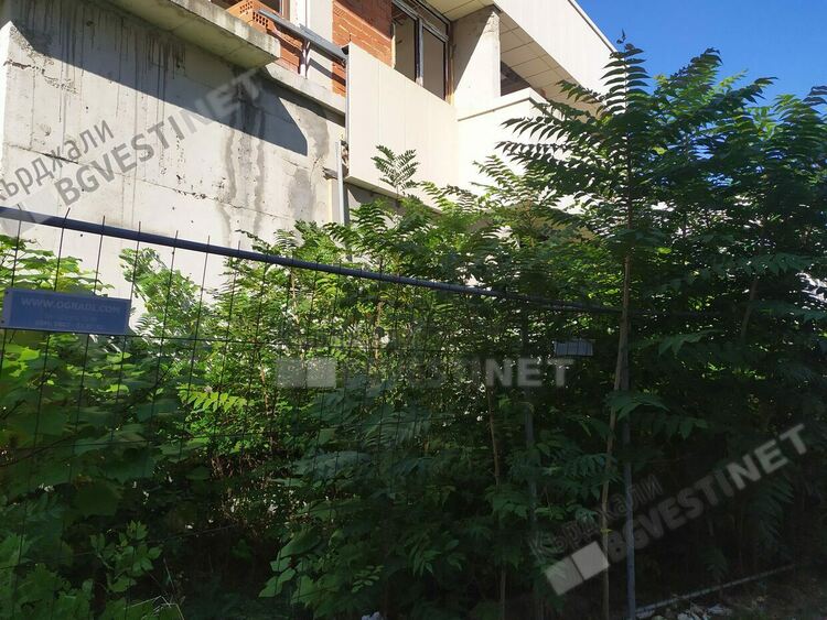   Изчезва горичката зад Белия кораб, Общината подхваща недовършената зала на местния парламент