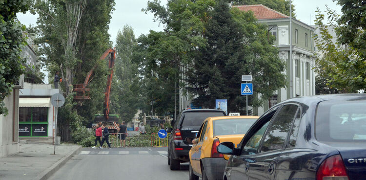 Задръствания в центъра на Хасково заради затворения булевард за сечта на тополи
