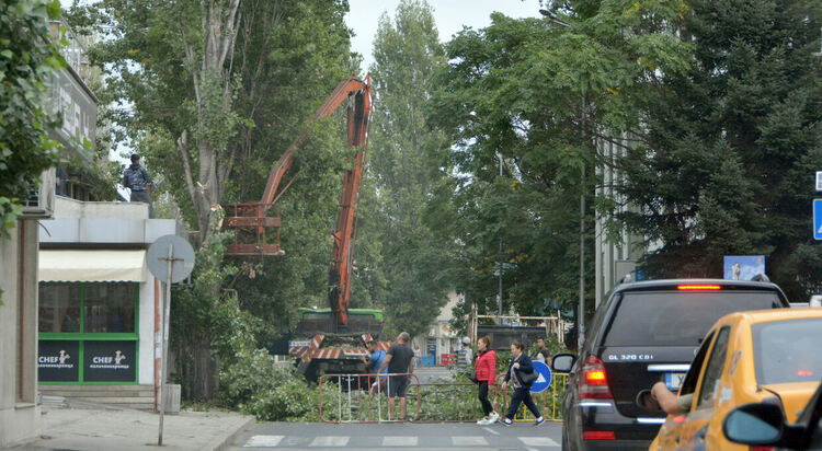 Задръствания в центъра на Хасково заради затворения булевард за сечта на тополи