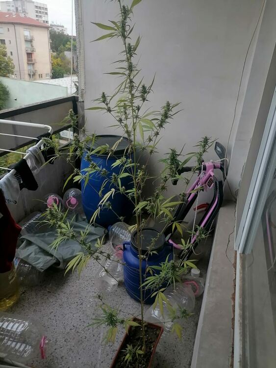 Снимки: ОД на МВР - Хасково