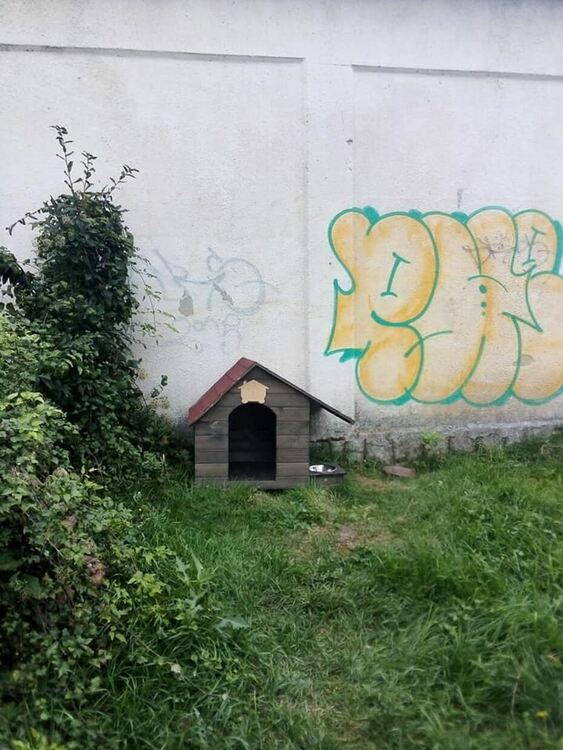 На много места в Перник вече са поставени къщички за кучета