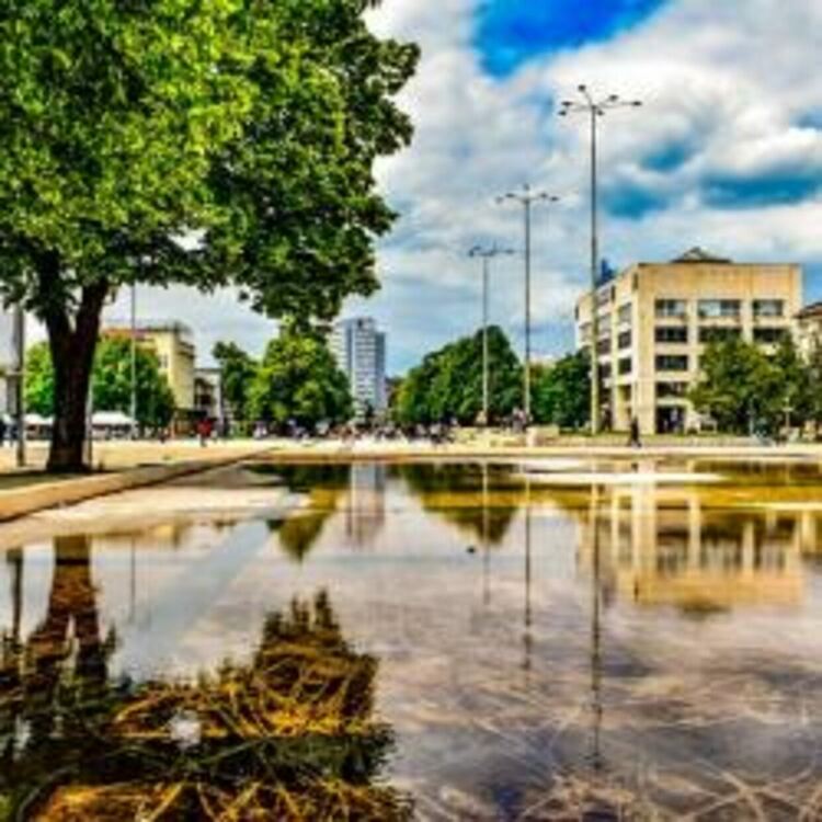 Перник бесен на политиците