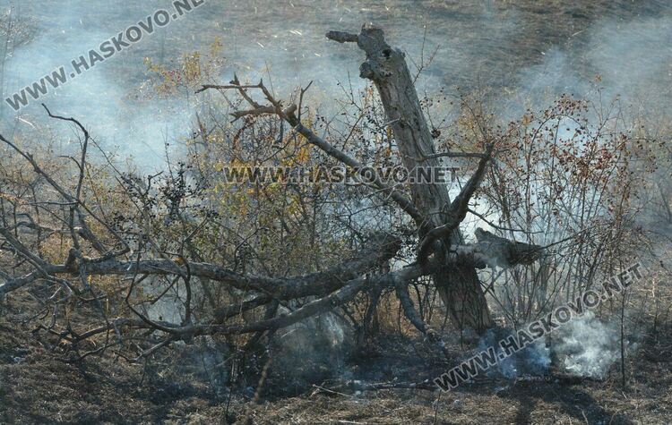 Пожар избухна във вилна зона край Хасково