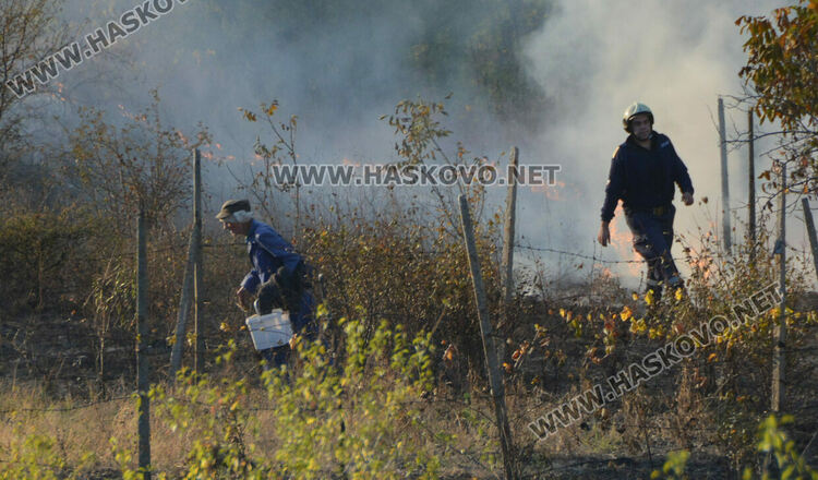 Пожар избухна във вилна зона край Хасково