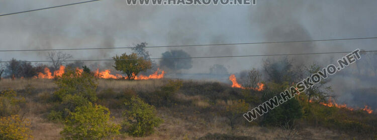 Пожар избухна във вилна зона край Хасково