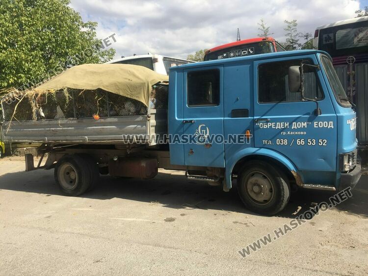 В гробищните паркове не смогват по поддръжката заради малък щат работници