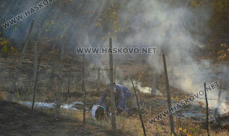 Пожар избухна във вилна зона край Хасково