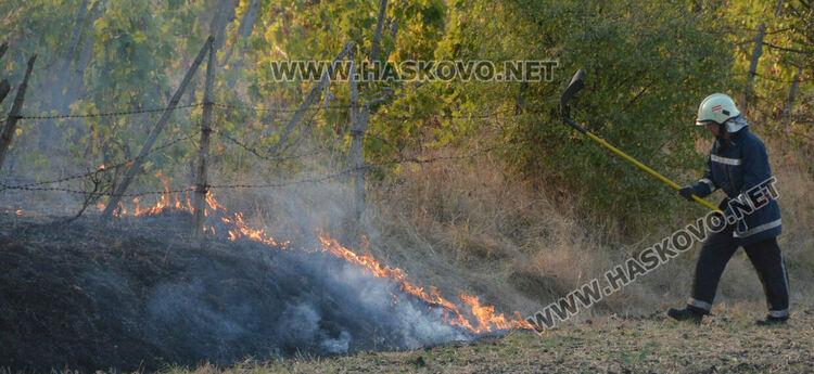 Пожар избухна във вилна зона край Хасково