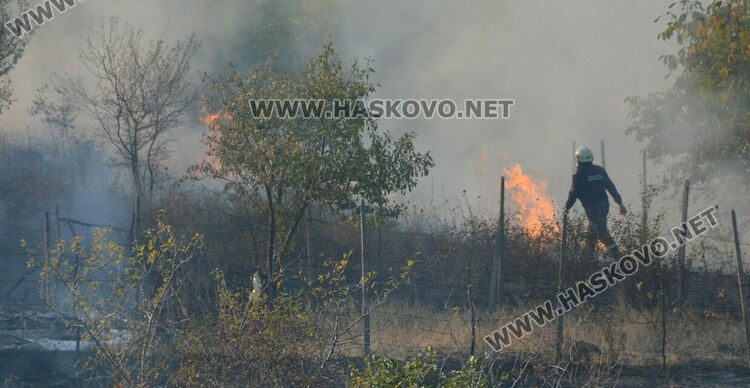 Пожар избухна във вилна зона край Хасково