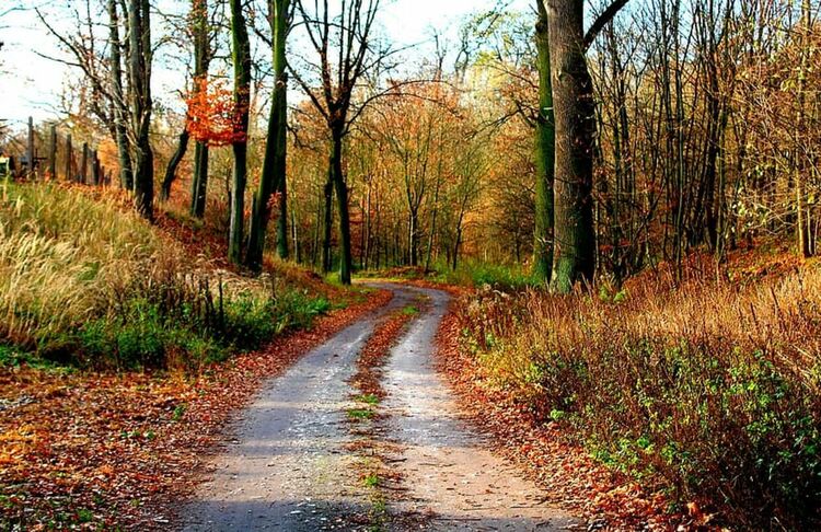 Хладно и дъждовно време днес