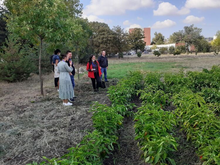 Гимназията по транспорт в Хасково с проект с екологична насоченост
