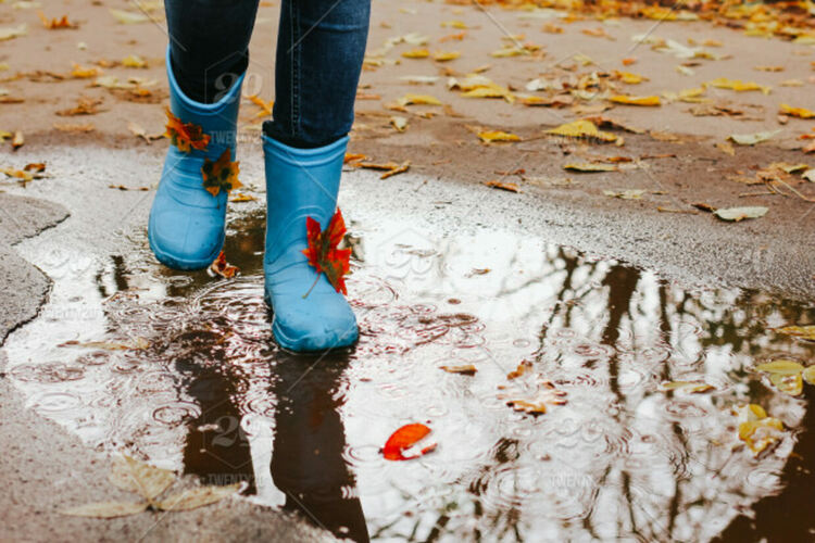 Облачно, валежи на места в неделя