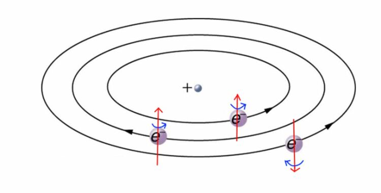 Човешките клетки реагират на магнитните полета благодарение на квантовите ефекти