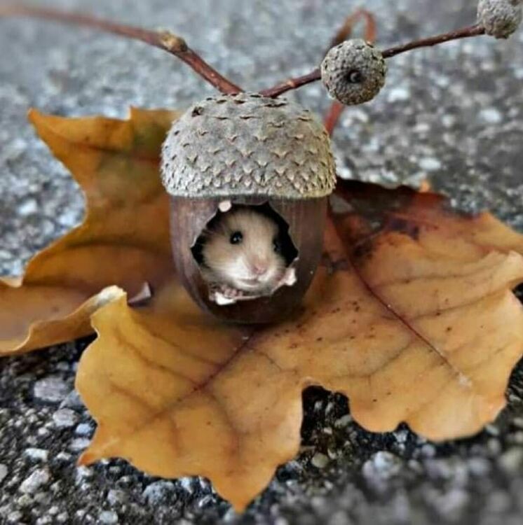 Дъждовно в понеделник