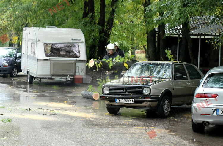 Дърво поломи 2 автомобила в Димитровград