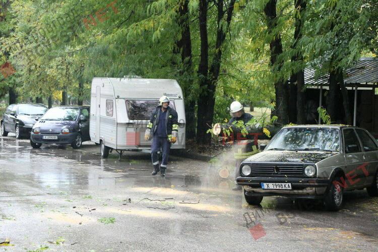 Дърво поломи 2 автомобила в Димитровград