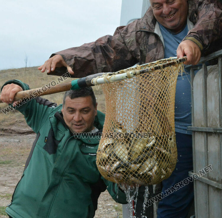 Зарибиха „Тракиец“ с амур, шаран, сом, толстолоб и бяла риба
