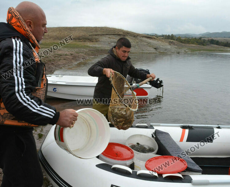 Зарибиха „Тракиец“ с амур, шаран, сом, толстолоб и бяла риба