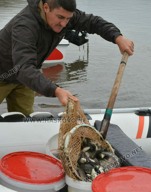 Зарибиха „Тракиец“ с амур, шаран, сом, толстолоб и бяла риба