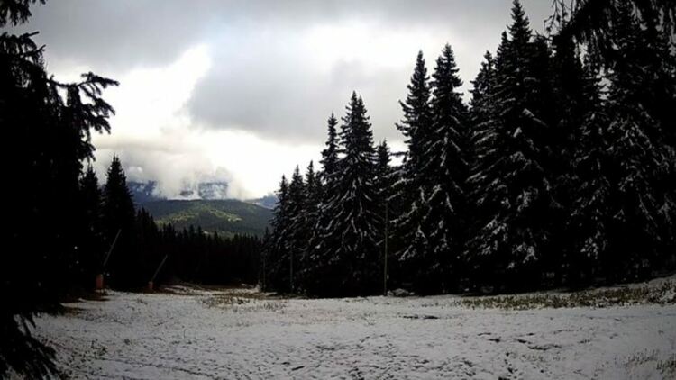 Снежанка побеля 