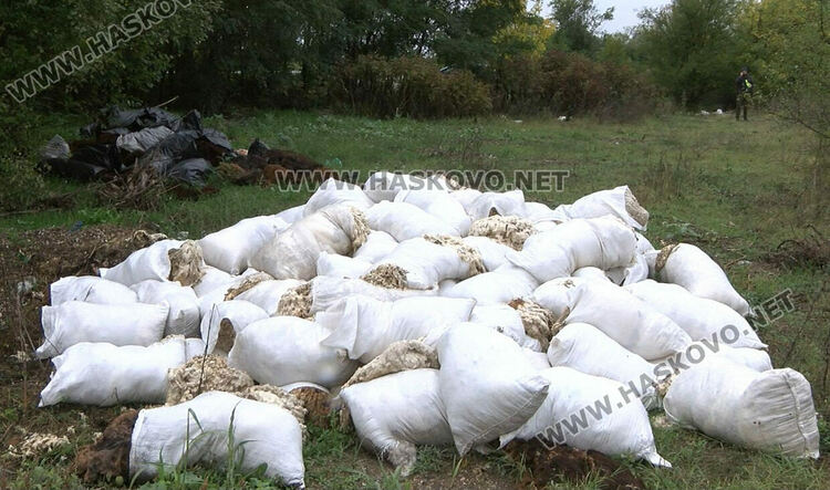 Купища отпадъци от грозде и вълна в горичка между Манастир и Книжовник