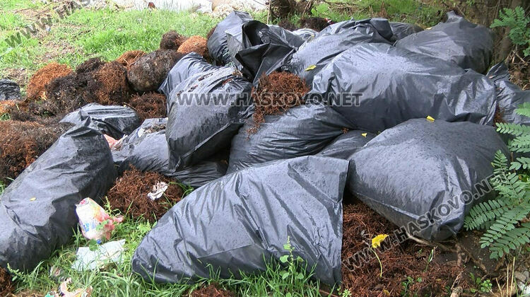 Купища отпадъци от грозде и вълна в горичка между Манастир и Книжовник
