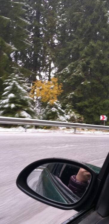 Снимка: Фати Чаушева /I see you KAT Devin/