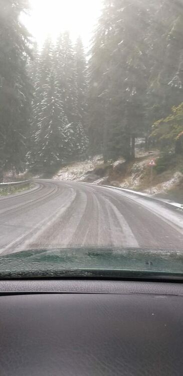 Снимка: Фати Чаушева /I see you KAT Devin/