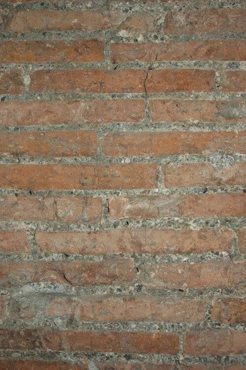 Облицован с тухли бетон в коридора на гробницата. Кредит: Marie Jackson et al.