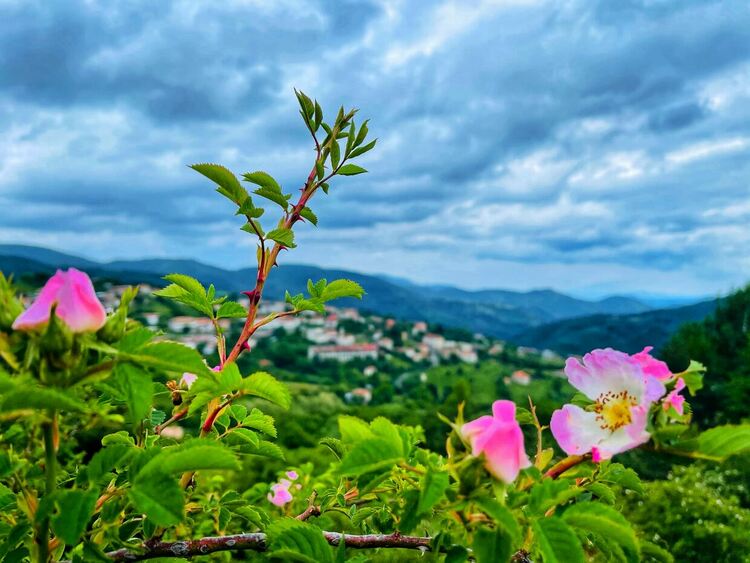 Жури избра 24 фотоса, които ще красят календара на община Смолян за 2022 г.